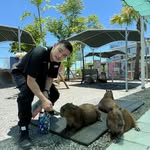 Elvis Lin - @elvislin0420 - Instagram