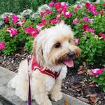 Elvis Miles - @elvisthelovebug - Instagram