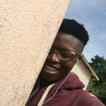 Elvis - @e_l_v_i_s__m_o_o_r_e - Instagram