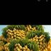 Elvis Udom - Facebook