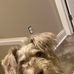 The Life of Elvis Odom - Facebook