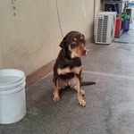 Elvis PARK - @elvis_parking - Instagram