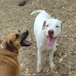 elvispark - @elvispark1025 - Instagram