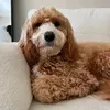 Elvis Patrick - @ivied055 - TikTok