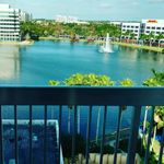Elvis Patterson - @elvispatterson767 - Instagram