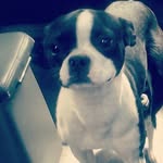elvis peralta - @elvis_peralta4505 - Instagram