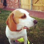 Elvis Phillips - @elvis_is_beast12 - Instagram