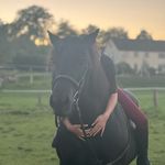 @elvis.das.power.pony - Instagram