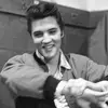 Elvis😍 - @elvispreaslymynovio - TikTok