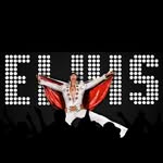Elvis Presley The King of Rock’n’Roll - @elvisbypresley - Instagram