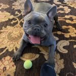 @elvispresleyhoward9 - Instagram