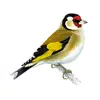elvis_price - @elvis_price - TikTok