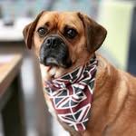 Elvis The Pugalier 🇬🇧 - @elvispugalier - Instagram