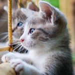 .·:*¨𝕖𝕝𝕧𝕚𝕤 𝕣𝕒𝕞𝕠𝕤¨*:·. - @elvis_ramos_ - Instagram