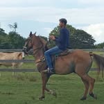 Elvis Ribeiro - @elvis_ribeiro591 - Instagram
