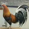 Elvis Rivas - @elvis.rivas26 - TikTok