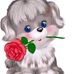 Elvis Salgado - Facebook
