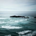 @elvisscott__ - Instagram