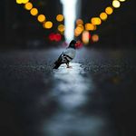 Elvis smith - @noa0mrh - Instagram