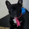 elvis_valentin1 - @elvis_valentin1 - TikTok