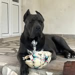 Elvis Valentinov - @elvisvalentinov - Instagram