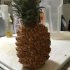Elvis Wall - @the_famous_pineapple_og - TikTok