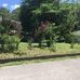 Elvis Williamson - Facebook