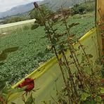 Ely Medrano - Facebook