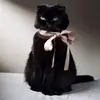 Elyse Dorréa - @writtenbyelysedorrea - TikTok