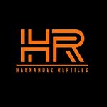 Ivan and Elyse Hernandez - @hernandez_reptiles - Instagram