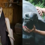 elyse jacobson - @elysejacobson8 - Instagram