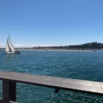 Elyse Jacobson - @elysejacobson01 - Instagram