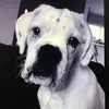 Elyse White - @elysewhite0 - TikTok