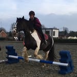 Elysia - @jackson_elysia_horses - Instagram