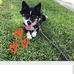 Elyssa Hernandez - Facebook
