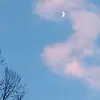 Elyssa Johnson - @elyssa.johnson - TikTok