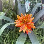 𝓔 𝓶 𝓲 𝓵 𝔂 🦋 - @__emthompson - Instagram