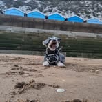 Em Thompson - Facebook