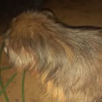 @ema._.calderon - Instagram