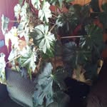 Ema Ortega - @emaortegaconejeros - Instagram