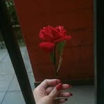 ema_rodrigues_ - @ema_rodrigues_ - Instagram