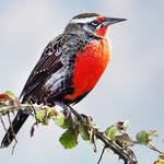 Ema Rojas - @ema.rojas.figueroa - Instagram