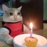 Emad Agha - @emad.agha988 - Instagram