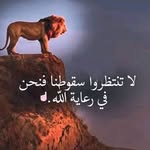 Emad Agha - @emadagha54 - Instagram