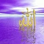 Emad Eskander - @eskander9175 - Instagram