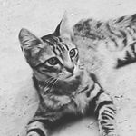 Emad Qureshi - @imadhashmi_0 - Instagram