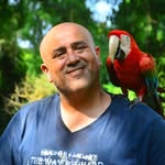 Emad Ramadan - @emad.ramadan76 - Instagram
