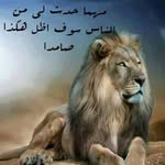 Emad Ramadan - @emadramadan8832 - Instagram