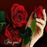 Emad Al Rayyan - @emadalrayyan - Instagram