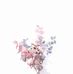 Eman Elshazly - Facebook